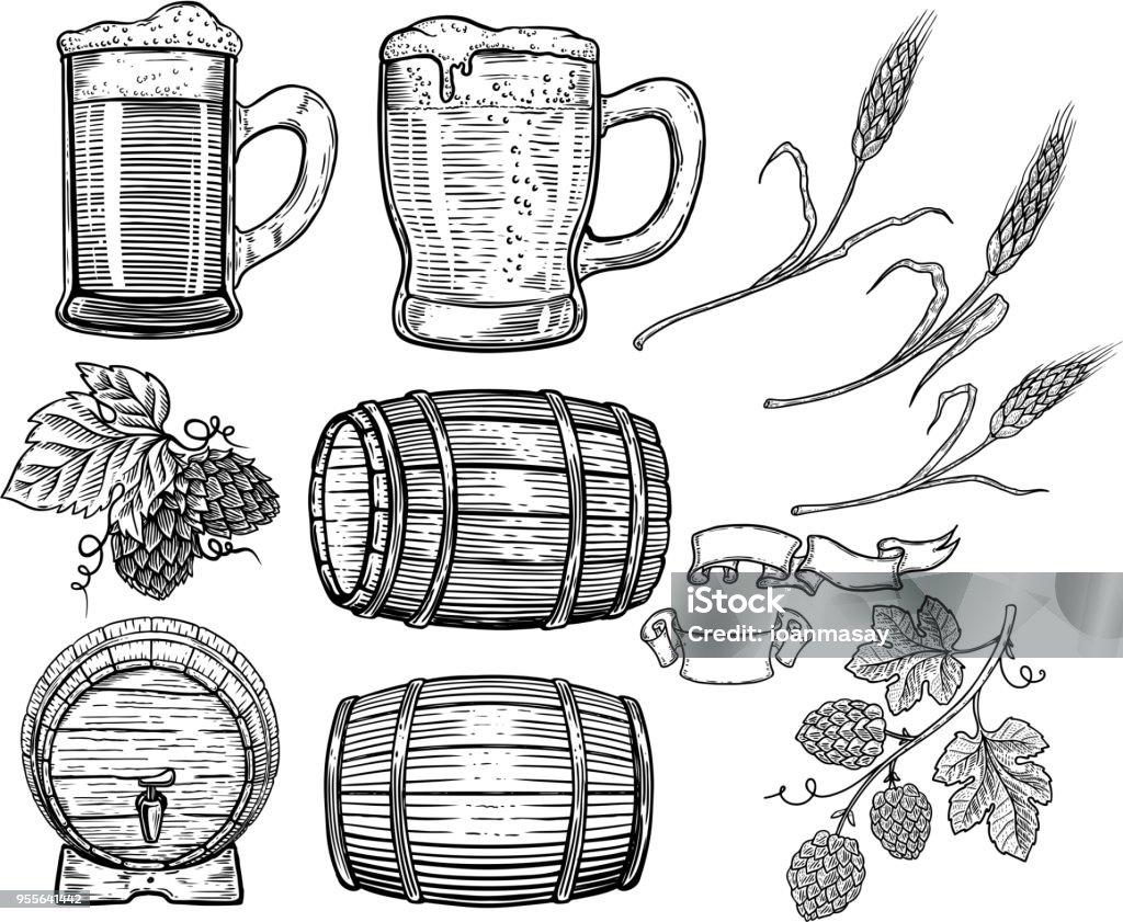 Set di elementi di design della birra disegnati a mano. Luppolo, grano, botti di legno, tazze di birra. Elemento di design per poster, carta, menu, emblema, badge. - arte vettoriale royalty-free di Birra