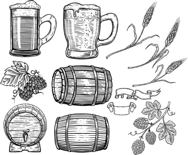 illustrazioni stock, clip art, cartoni animati e icone di tendenza di set di elementi di design della birra disegnati a mano. luppolo, grano, botti di legno, tazze di birra. elemento di design per poster, carta, menu, emblema, badge. - pub