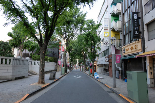 istock Tokyo Kagurazaka 955641706