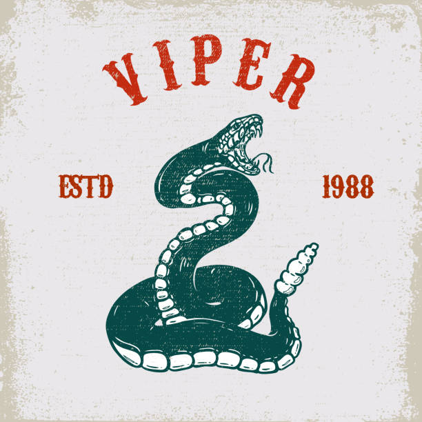 ilustrações de stock, clip art, desenhos animados e ícones de viper snake illustration on grunge background. design element for poster, card, t shirt, emblem. - snake cobra cartoon rattlesnake