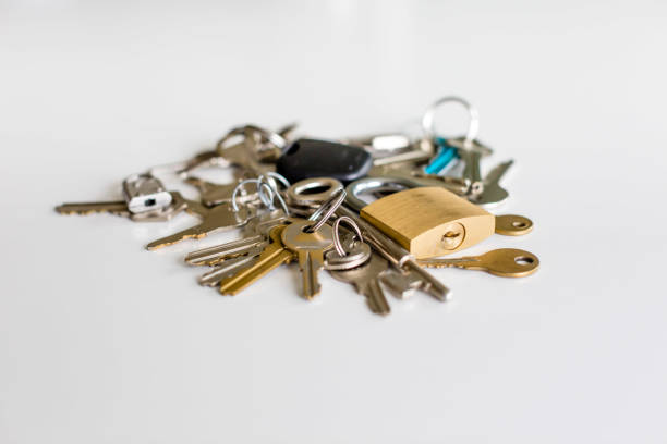 istock Bunch of keys and locks 955642438