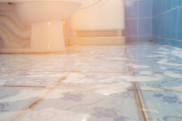istock bathroom cleaning or toilet cleaning with water 955645720