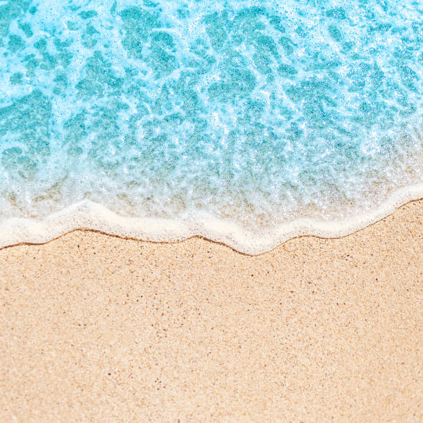 istock Soft wave of blue ocean on sandy beach with copy space fr text. Summer Background. 955649364