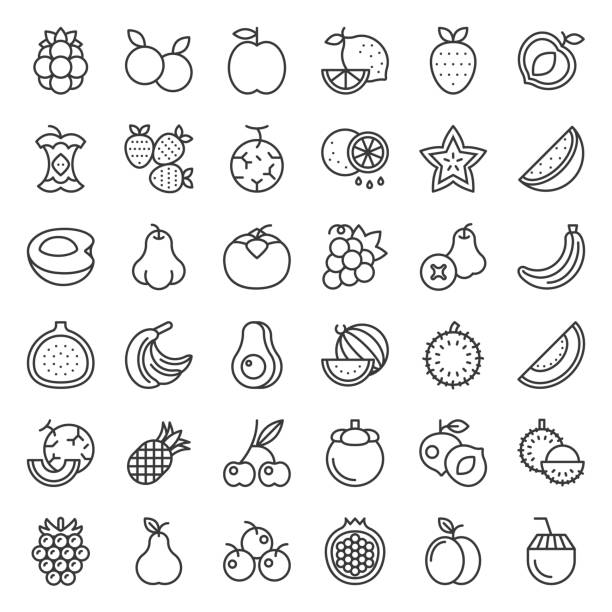 Cute fruit and berries outline icon set 2 Cute fruit and berries outline icon set 2 rambutan stock illustrations