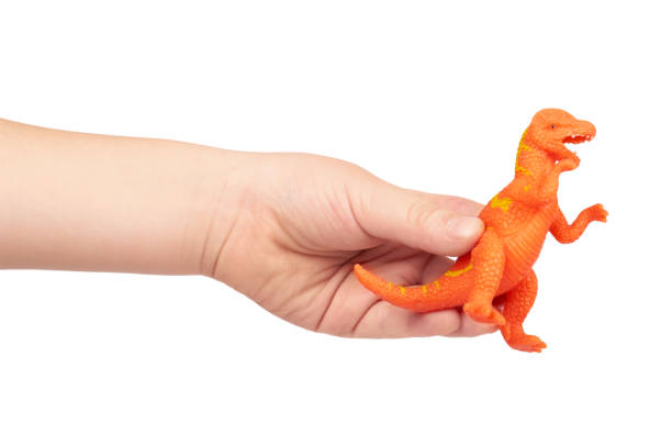istock Prehistoric dinosaur rubber toy with kid hand, isolated on white background 955650114