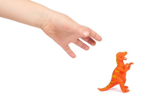 istock Prehistoric dinosaur rubber toy with kid hand, isolated on white background 955650116