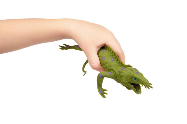 istock Green rubber lizard toy with kid hand, isolated on white background 955650120