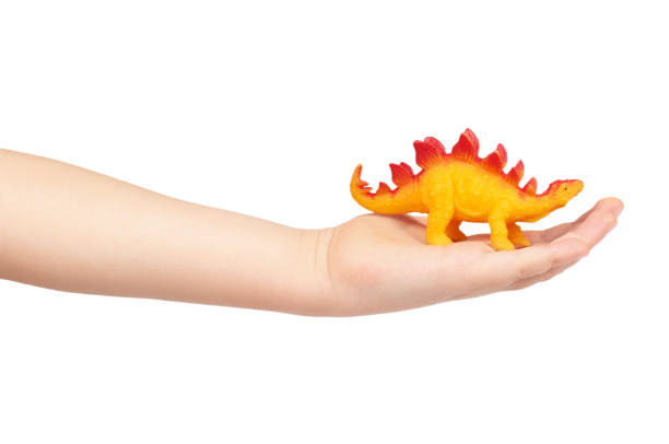 istock Prehistoric dinosaur rubber toy with kid hand, isolated on white background 955650136