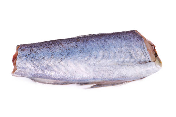 istock fish, body piece of blue hake. Isolated on white background 955650204