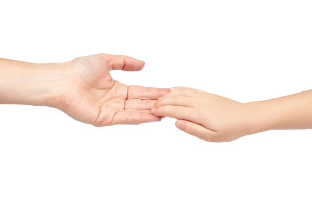 istock Mother hold kid hand, togetherness and safe concept, isolated on white background 955650680