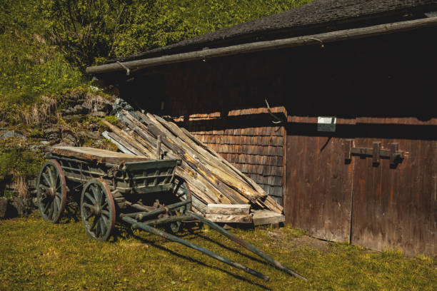 holz barrow und schuppen in den schweizer alpen. - tumbrel stock-fotos und bilder