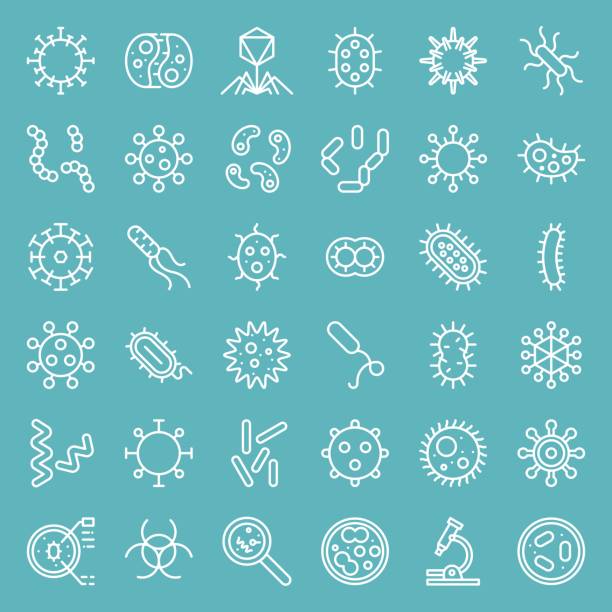 bakteri ve virüs, e. coli, hiv, grip gibi sevimli mikroorganizma simgesi simge seti kalın - mikroorganizma stock illustrations