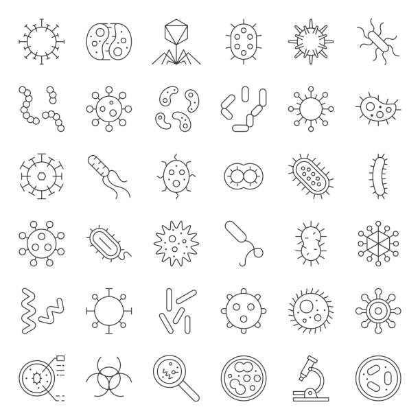 Bacteria and virus, cute microorganism icon such as e. Coli, HIV, influenza, thin line icon Bacteria and virus, cute microorganism icon such as e. Coli, HIV, influenza, thin line icon cell flagellum stock illustrations