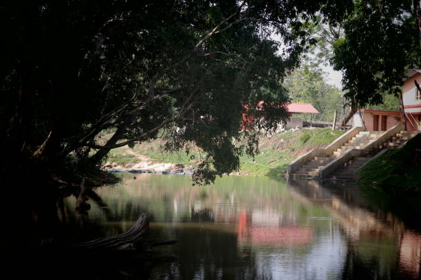 istock Muthanga Wildlife santuary, Wayanad India 955664592
