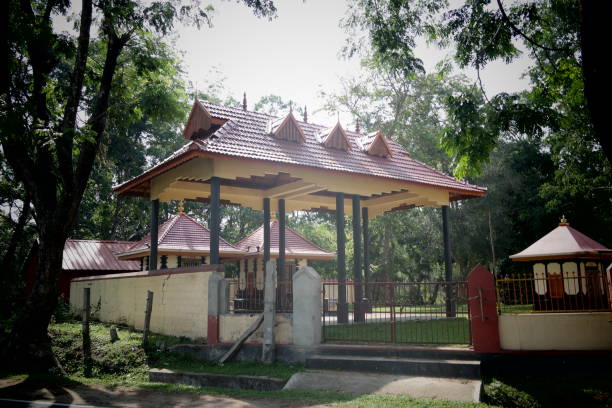 istock Forest Temple In muthanga wildlife satuary 955666430