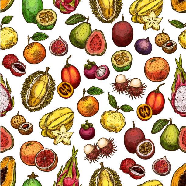 ilustraciones, imágenes clip art, dibujos animados e iconos de stock de las frutas y bayas sin fisuras de fondo - feijoo