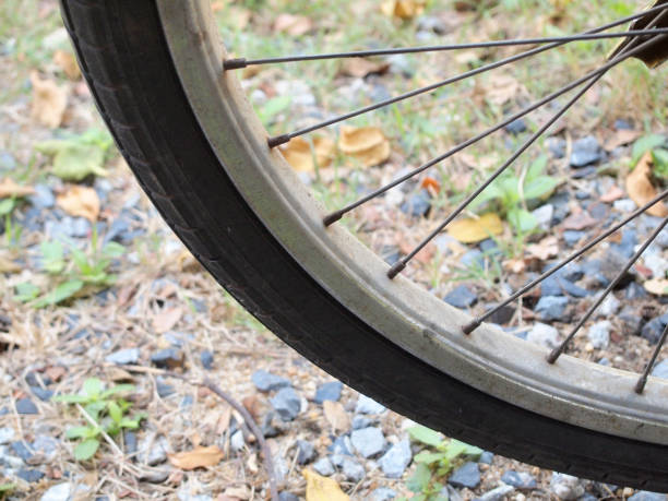 istock Details of bicycle wheel 955672190