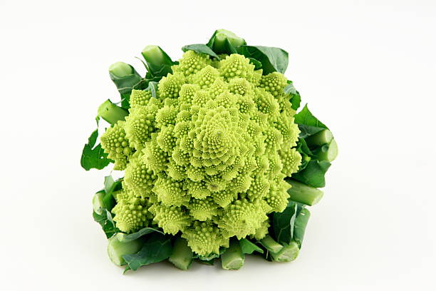 Romanesco broccoli  fractal plant cabbage textured stock pictures, royalty-free photos & images