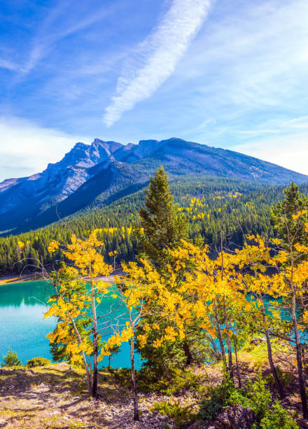 istock The Magnificent Lake Two Jack 955694906