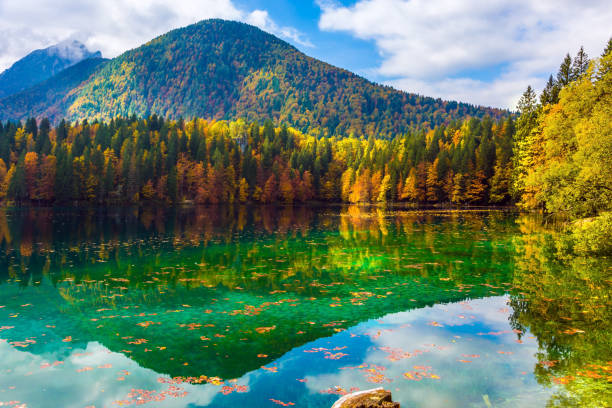 istock The smooth surface of the water 955694908