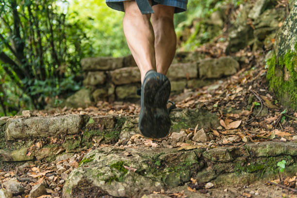 istock Man goes up the stone stairs in the forest 955696090