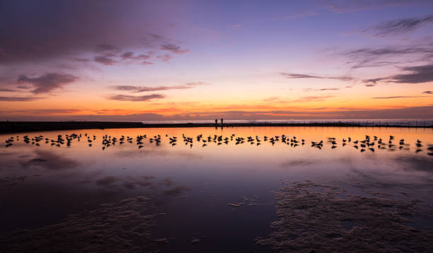 istock Peaceful morning sunrise at Ocean Baths 955703428