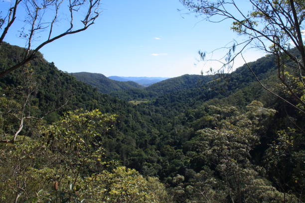 istock Glass House Mountains, Gold Coast, Hinterland, Australia 955704016