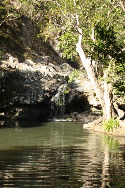 istock Woodland stream, Hinterland, Gold Coast, Hinterland, Australia 955704066