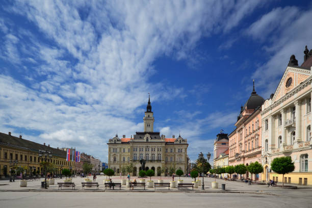 City hall in the center of Novi Sad City hall in the center of Novi Sad place of EXIT music festival and European capital culture exit festival stock pictures, royalty-free photos & images