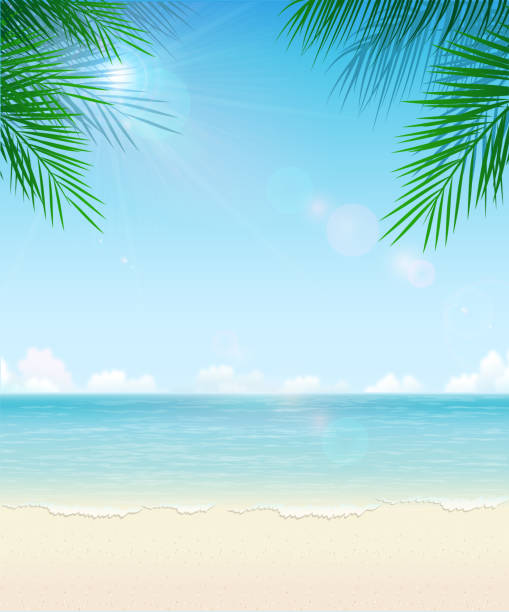 illustrazioni stock, clip art, cartoni animati e icone di tendenza di sfondo spiaggia tropicale - beach tropical climate island palm tree