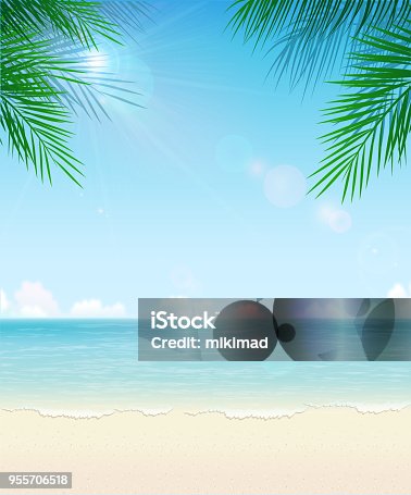 istock Tropical Beach Background 955706518