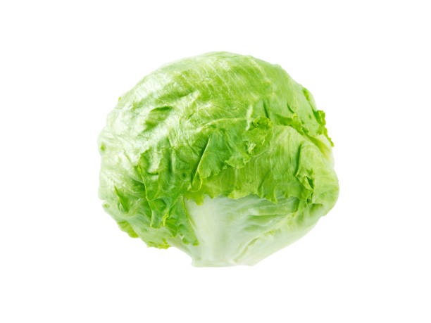 głowa sałaty lodowej - head cabbage zdjęcia i obrazy z banku zdjęć