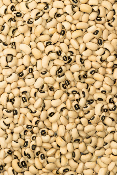 istock blacked eyed peas 955719386