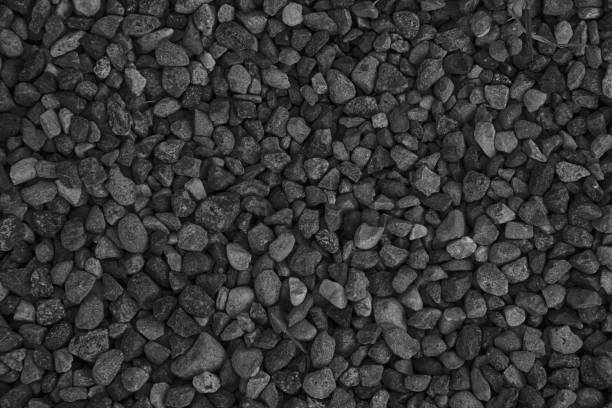 Monochrome Stone texture, rock surface level, pebble background for web site or mobile devices Monochrome Stone texture, rock surface level, pebble background for web site or mobile devices. elefant stock pictures, royalty-free photos & images