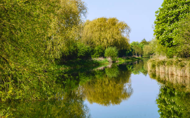 istock The beck flanked by trees in spring colours, Beverley, Yorkshire, UK. 955723638