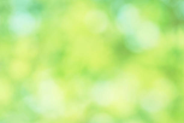 新鮮な緑の抽象的な背景 - 緑 背景 ストックフォトと画像