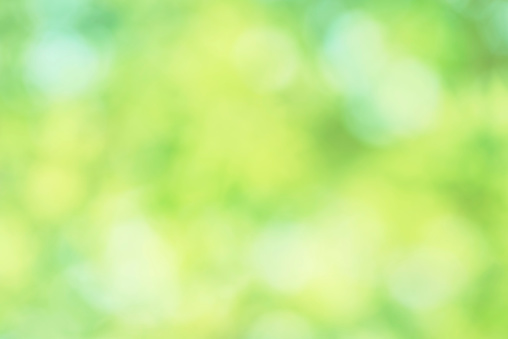 Abstract Fresh green background