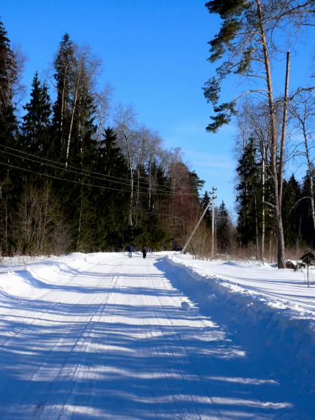 istock Winter. The road in the wood. 955724580