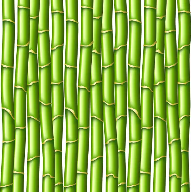 Vector illustration of Green bamboo texture vector background