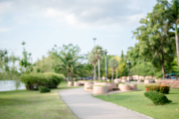 istock Blurred image of people exercising in the park in the evening ,  use for abstract background. 955736406