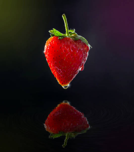 fresh strawberry with droplet floating over the water, isolated on black background. - wet strawberry macro fruit imagens e fotografias de stock