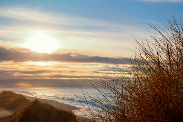 istock Unpannung by the sea on Sylt 955753336
