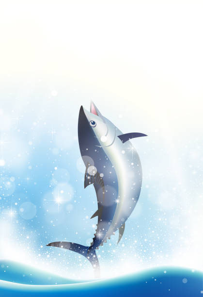 прыжки тунца рыбы - fish tuna splashing bluefin tuna stock illustrations