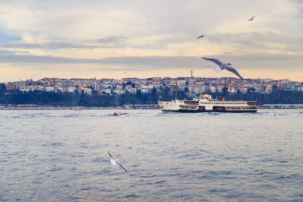istock Istanbul golden horn 955755756