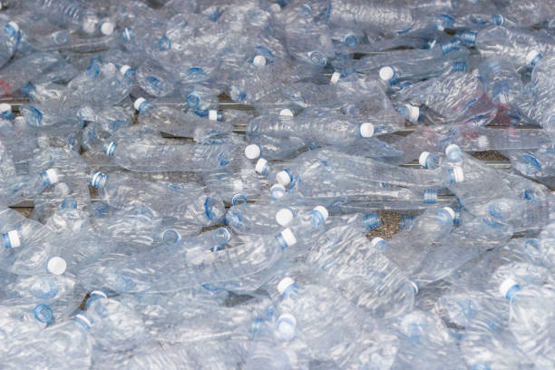 istock Concept of recycling the Empty used plastic bottle 955755866