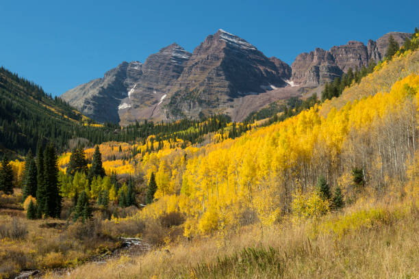 istock Autumn scenery at Maroon Bells Scenic Area 955760502