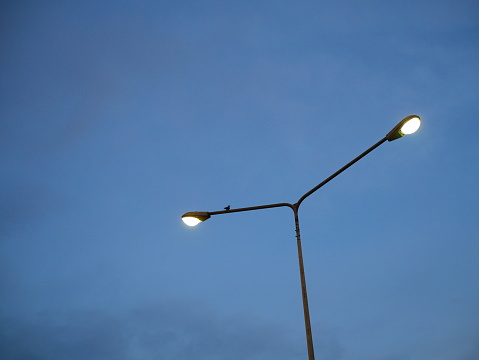 Lighting Equipment, Street Light, Electric Lamp, Street, Equipment