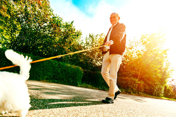 istock Happy senior man walks his dog while the sun shines 955765436