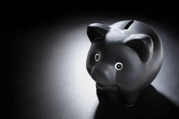 Photo of Black piggy bank