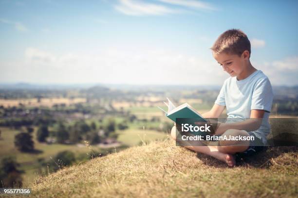 Junge Sitzt Auf Einem Hügel In Einem Buch Auf Einer Wiese Stockfoto und mehr Bilder von Lesen